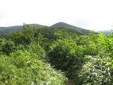 img0030.jpg