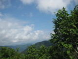 img0031.jpg