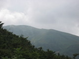 img0033.jpg