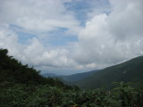 img0034.jpg
