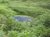 img0037.jpg