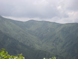 img0039.jpg