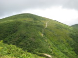 img0040.jpg