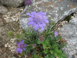 img0044.jpg