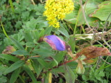img0046.jpg