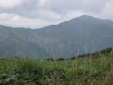 img0050.jpg