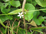 img0051.jpg
