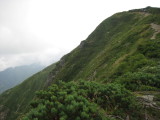 img0062.jpg
