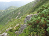 img0063.jpg