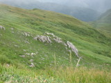 img0068.jpg