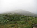 img0092.jpg