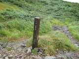 img0107.jpg