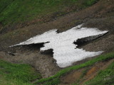 img0109.jpg