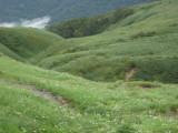 img0115.jpg