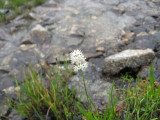 img0116.jpg