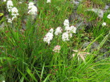 img0117.jpg