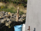 img0156.jpg