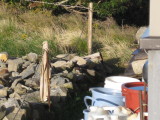 img0157.jpg
