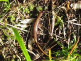 img0164.jpg