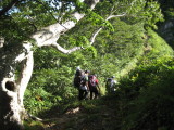 img0170.jpg