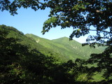 img0171.jpg