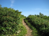 img0175.jpg