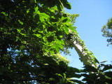 img0176.jpg