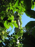 img0177.jpg