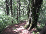 img0179.jpg