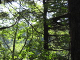 img0180.jpg