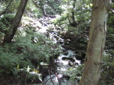 img0181.jpg