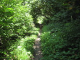 img0182.jpg