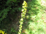 img0183.jpg