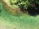 img0190.jpg
