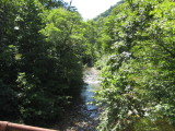 img0194.jpg