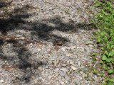 img0195.jpg