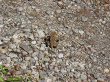 img0197.jpg