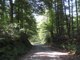 img0199.jpg