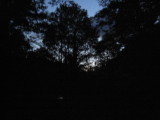 img0205.jpg