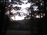 img0215.jpg