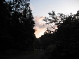 img0219.jpg