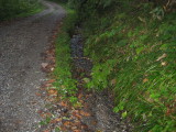 img0221.jpg