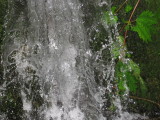 img0225.jpg