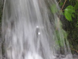 img0226.jpg