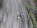 img0227.jpg