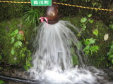 img0228.jpg