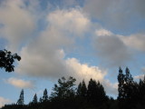 img0235.jpg
