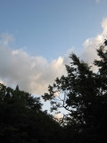 img0236.jpg