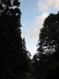 img0237.jpg