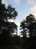img0238.jpg